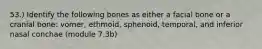 53.) Identify the following bones as either a facial bone or a cranial bone: vomer, ethmoid, sphenoid, temporal, and inferior nasal conchae (module 7.3b)