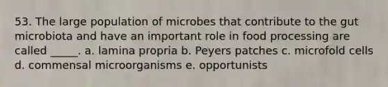 53. The large population of microbes that contribute to the gut microbiota and have an important role in food processing are called _____. a. lamina propria b. Peyers patches c. microfold cells d. commensal microorganisms e. opportunists