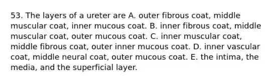 53. The layers of a ureter are A. outer fibrous coat, middle muscular coat, inner mucous coat. B. inner fibrous coat, middle muscular coat, outer mucous coat. C. inner muscular coat, middle fibrous coat, outer inner mucous coat. D. inner vascular coat, middle neural coat, outer mucous coat. E. the intima, the media, and the superficial layer.