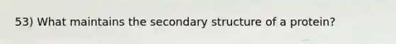 53) What maintains the secondary structure of a protein?