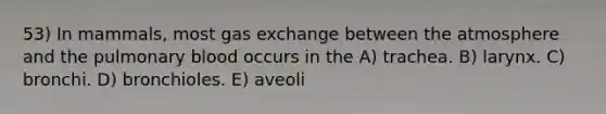 53) In mammals, most gas exchange between the atmosphere and the pulmonary blood occurs in the A) trachea. B) larynx. C) bronchi. D) bronchioles. E) aveoli