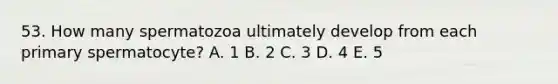 53. How many spermatozoa ultimately develop from each primary spermatocyte? A. 1 B. 2 C. 3 D. 4 E. 5