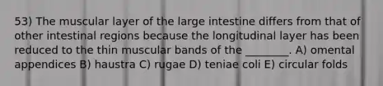 53) The muscular layer of the large intestine differs from that of other intestinal regions because the longitudinal layer has been reduced to the thin muscular bands of the ________. A) omental appendices B) haustra C) rugae D) teniae coli E) circular folds