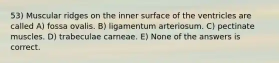 53) Muscular ridges on the inner surface of the ventricles are called A) fossa ovalis. B) ligamentum arteriosum. C) pectinate muscles. D) trabeculae carneae. E) None of the answers is correct.