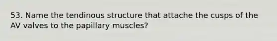 53. Name the tendinous structure that attache the cusps of the AV valves to the papillary muscles?