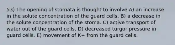 53) The opening of stomata is thought to involve A) an increase in the solute concentration of the guard cells. B) a decrease in the solute concentration of the stoma. C) active transport of water out of the guard cells. D) decreased turgor pressure in guard cells. E) movement of K+ from the guard cells.