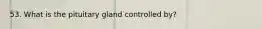 53. What is the pituitary gland controlled by?