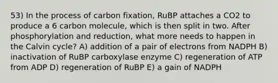 53) In the process of carbon fixation, RuBP attaches a CO2 to produce a 6 carbon molecule, which is then split in two. After phosphorylation and reduction, what more needs to happen in the Calvin cycle? A) addition of a pair of electrons from NADPH B) inactivation of RuBP carboxylase enzyme C) regeneration of ATP from ADP D) regeneration of RuBP E) a gain of NADPH