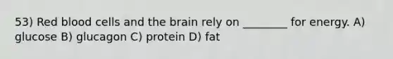 53) Red blood cells and the brain rely on ________ for energy. A) glucose B) glucagon C) protein D) fat