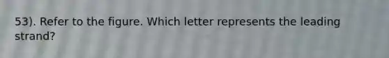 53). Refer to the figure. Which letter represents the leading strand?