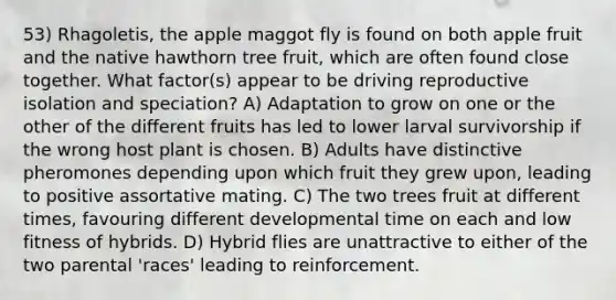 53) Rhagoletis, the apple maggot fly is found on both apple fruit and the native hawthorn tree fruit, which are often found close together. What factor(s) appear to be driving reproductive isolation and speciation? A) Adaptation to grow on one or the other of the different fruits has led to lower larval survivorship if the wrong host plant is chosen. B) Adults have distinctive pheromones depending upon which fruit they grew upon, leading to positive assortative mating. C) The two trees fruit at different times, favouring different developmental time on each and low fitness of hybrids. D) Hybrid flies are unattractive to either of the two parental 'races' leading to reinforcement.