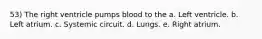 53) The right ventricle pumps blood to the a. Left ventricle. b. Left atrium. c. Systemic circuit. d. Lungs. e. Right atrium.