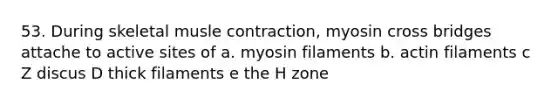 53. During skeletal musle contraction, myosin cross bridges attache to active sites of a. myosin filaments b. actin filaments c Z discus D thick filaments e the H zone