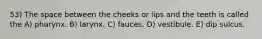 53) The space between the cheeks or lips and the teeth is called the A) pharynx. B) larynx. C) fauces. D) vestibule. E) dip sulcus.