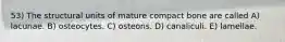 53) The structural units of mature compact bone are called A) lacunae. B) osteocytes. C) osteons. D) canaliculi. E) lamellae.