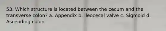 53. Which structure is located between the cecum and the transverse colon? a. Appendix b. Ileocecal valve c. Sigmoid d. Ascending colon