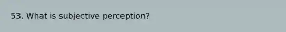 53. What is subjective perception?