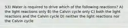 53) Water is required to drive which of the following reactions? A) the light reactions only B) the Calvin cycle only C) both the light reactions and the Calvin cycle D) neither the light reactions nor the Calvin cycle