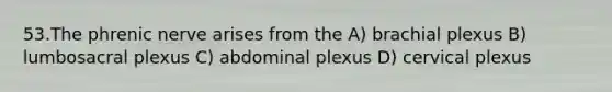 53.The phrenic nerve arises from the A) brachial plexus B) lumbosacral plexus C) abdominal plexus D) cervical plexus