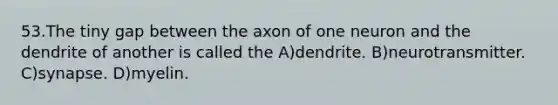 53.The tiny gap between the axon of one neuron and the dendrite of another is called the A)dendrite. B)neurotransmitter. C)synapse. D)myelin.