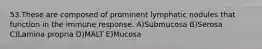 53.These are composed of prominent lymphatic nodules that function in the immune response. A)Submucosa B)Serosa C)Lamina propria D)MALT E)Mucosa