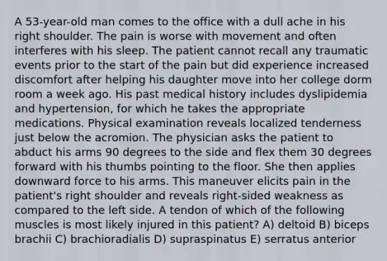 A 53-year-old man comes to the office with a dull ache in his right shoulder. The pain is worse with movement and often interferes with his sleep. The patient cannot recall any traumatic events prior to the start of the pain but did experience increased discomfort after helping his daughter move into her college dorm room a week ago. His past medical history includes dyslipidemia and hypertension, for which he takes the appropriate medications. Physical examination reveals localized tenderness just below the acromion. The physician asks the patient to abduct his arms 90 degrees to the side and flex them 30 degrees forward with his thumbs pointing to the floor. She then applies downward force to his arms. This maneuver elicits pain in the patient's right shoulder and reveals right-sided weakness as compared to the left side. A tendon of which of the following muscles is most likely injured in this patient? A) deltoid B) biceps brachii C) brachioradialis D) supraspinatus E) serratus anterior