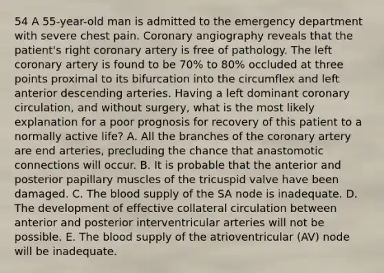 54 A 55-year-old man is admitted to the emergency department with severe chest pain. Coronary angiography reveals that the patient's right coronary artery is free of pathology. The left coronary artery is found to be 70% to 80% occluded at three points proximal to its bifurcation into the circumflex and left anterior descending arteries. Having a left dominant coronary circulation, and without surgery, what is the most likely explanation for a poor prognosis for recovery of this patient to a normally active life? A. All the branches of the coronary artery are end arteries, precluding the chance that anastomotic connections will occur. B. It is probable that the anterior and posterior papillary muscles of the tricuspid valve have been damaged. C. The blood supply of the SA node is inadequate. D. The development of effective collateral circulation between anterior and posterior interventricular arteries will not be possible. E. The blood supply of the atrioventricular (AV) node will be inadequate.