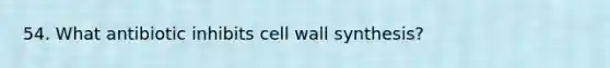 54. What antibiotic inhibits cell wall synthesis?