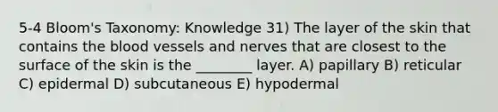 5-4 Bloom's Taxonomy: Knowledge 31) The layer of the skin that contains the blood vessels and nerves that are closest to the surface of the skin is the ________ layer. A) papillary B) reticular C) epidermal D) subcutaneous E) hypodermal