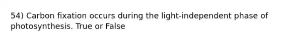 54) Carbon fixation occurs during the light-independent phase of photosynthesis. True or False