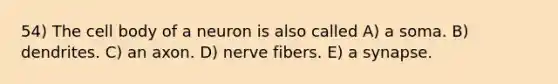 54) The cell body of a neuron is also called A) a soma. B) dendrites. C) an axon. D) nerve fibers. E) a synapse.