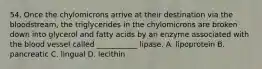 54. Once the chylomicrons arrive at their destination via the bloodstream, the triglycerides in the chylomicrons are broken down into glycerol and fatty acids by an enzyme associated with the blood vessel called ___________ lipase. A. lipoprotein B. pancreatic C. lingual D. lecithin