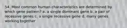 54. Most common human characteristics are determined by which gene pattern? a. a single dominant gene b. a pair of recessive genes c. a single recessive gene d. many genes working together