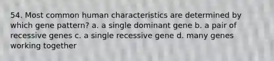 54. Most common human characteristics are determined by which gene pattern? a. a single dominant gene b. a pair of recessive genes c. a single recessive gene d. many genes working together