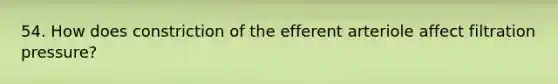 54. How does constriction of the efferent arteriole affect filtration pressure?