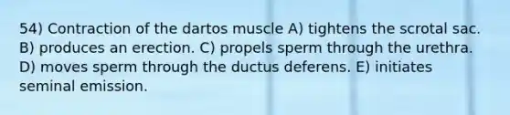 54) Contraction of the dartos muscle A) tightens the scrotal sac. B) produces an erection. C) propels sperm through the urethra. D) moves sperm through the ductus deferens. E) initiates seminal emission.