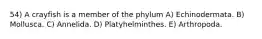 54) A crayfish is a member of the phylum A) Echinodermata. B) Mollusca. C) Annelida. D) Platyhelminthes. E) Arthropoda.