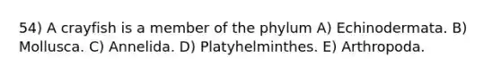 54) A crayfish is a member of the phylum A) Echinodermata. B) Mollusca. C) Annelida. D) Platyhelminthes. E) Arthropoda.