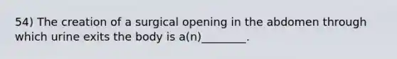 54) The creation of a surgical opening in the abdomen through which urine exits the body is a(n)________.