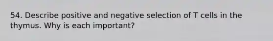 54. Describe positive and negative selection of T cells in the thymus. Why is each important?