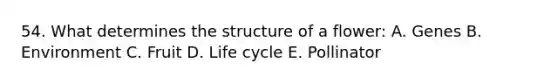 54. What determines the structure of a flower: A. Genes B. Environment C. Fruit D. Life cycle E. Pollinator