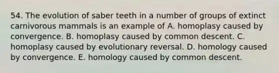 54. The evolution of saber teeth in a number of groups of extinct carnivorous mammals is an example of A. homoplasy caused by convergence. B. homoplasy caused by common descent. C. homoplasy caused by evolutionary reversal. D. homology caused by convergence. E. homology caused by common descent.