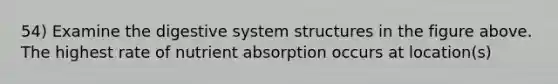 54) Examine the digestive system structures in the figure above. The highest rate of nutrient absorption occurs at location(s)