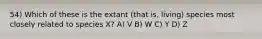 54) Which of these is the extant (that is, living) species most closely related to species X? A) V B) W C) Y D) Z