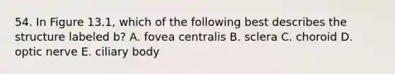 54. In Figure 13.1, which of the following best describes the structure labeled b? A. fovea centralis B. sclera C. choroid D. optic nerve E. ciliary body