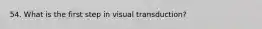 54. What is the first step in visual transduction?