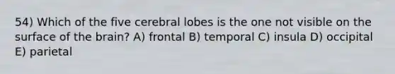 54) Which of the five cerebral lobes is the one not visible on the surface of the brain? A) frontal B) temporal C) insula D) occipital E) parietal