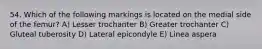 54. Which of the following markings is located on the medial side of the femur? A) Lesser trochanter B) Greater trochanter C) Gluteal tuberosity D) Lateral epicondyle E) Linea aspera