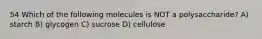 54 Which of the following molecules is NOT a polysaccharide? A) starch B) glycogen C) sucrose D) cellulose