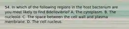 54. In which of the following regions in the host bacterium are you most likely to find Bdellovibrio? A. The cytoplasm. B. The nucleoid. C. The space between the cell wall and plasma membrane. D. The cell nucleus.